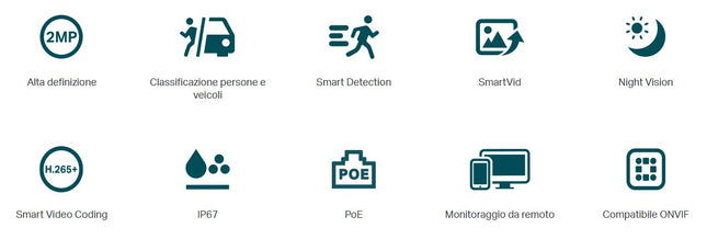 Telecamera IP Bullet 2MP IR Outdoor PoE