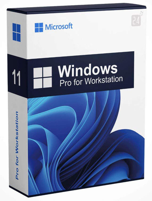 Windows 11 Professional per Workstation